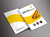 ������(c��)